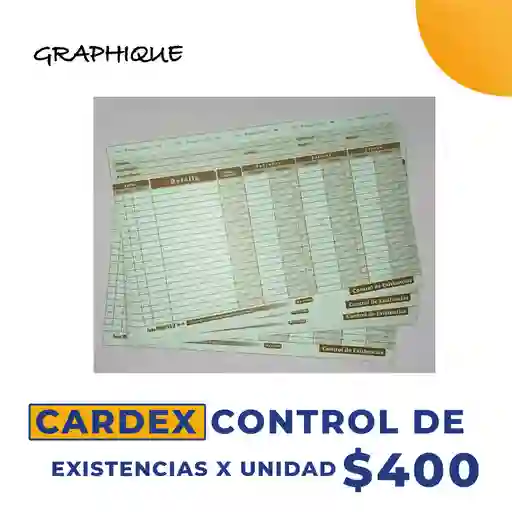 Cardex Control  de Existencias  X unidad