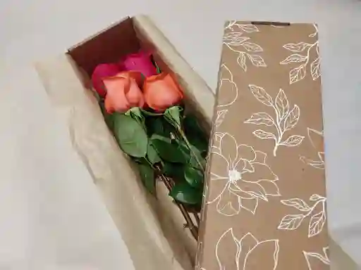 Caja # 1, rosas (1), papel seda o pergamino, moño natural, solitario