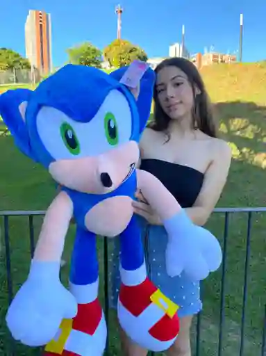 Sonic Gigante