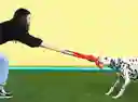  jalador de mono con cuerdas  y pito chillón 
