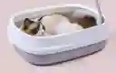 ARENERA SENCILLA GRANDE CON PALA