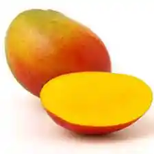 Mango Tommy 