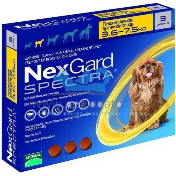Nexgard Spectra (3.5 A 7.5 Kg)