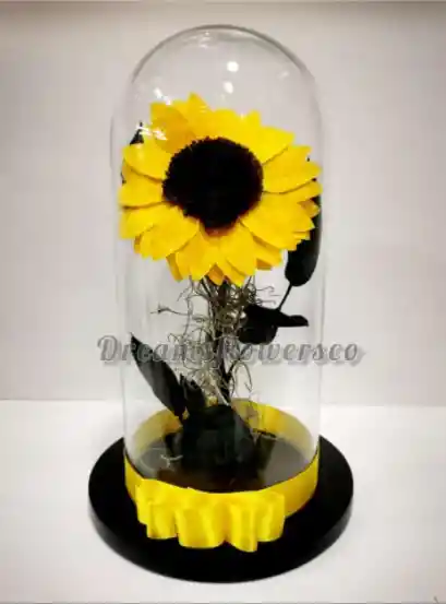 Girasol preservado 