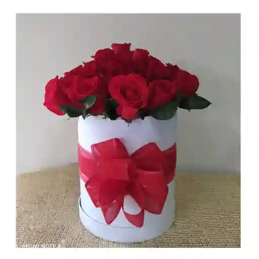 Caja tapizada cilindro con 24 rosas
