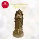 KIT DE LUZ VIRGEN  GUADALUPE ORO KLOR13