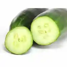 Pepino Cohombro 