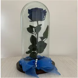 Rosa eterna o preservada azul oscuro