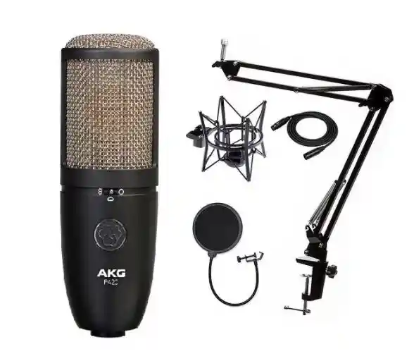 Kit Estudio Profesional AKG P420 + Cable + Antipop + Brazo