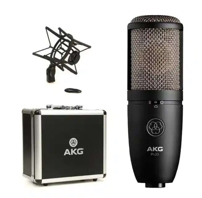 Akg P420 Micrófono De Condensador Estudio Alto Rendimiento