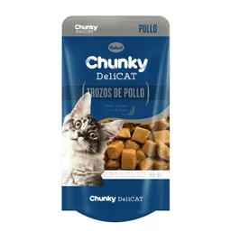 Chunky deicat pouche 80 gr POLLO alimetnto blando