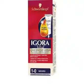 Igora Tintura Vital Color Negro