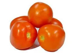 Tomate Chonto 