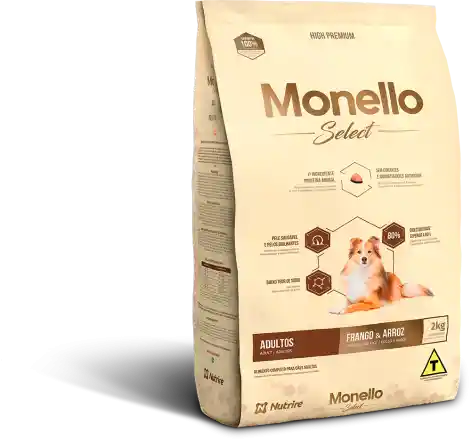   Monello  Adulto Raza Pequena 