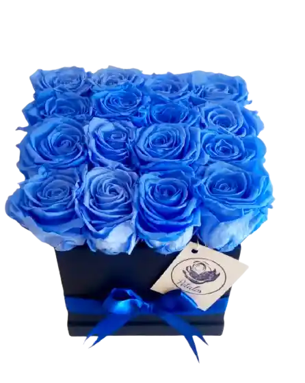 Caja deluxe negra de 16 rosas preservadas azules