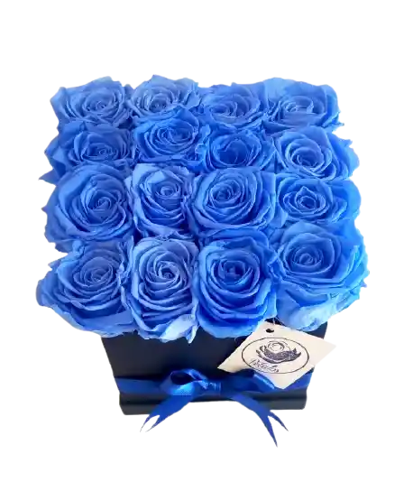 Caja deluxe negra de 16 rosas preservadas azules