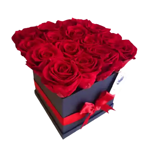 Caja deluxe negra de 16 rosas preservadas rojas