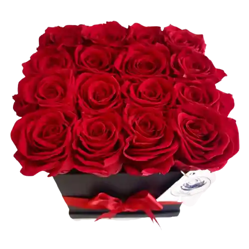 Caja deluxe negra de 16 rosas preservadas rojas