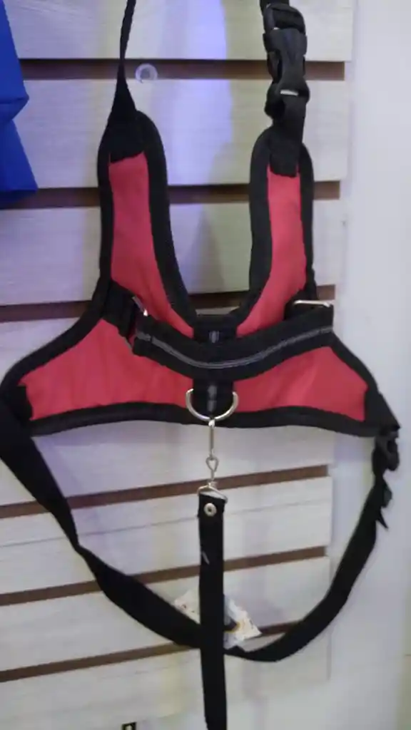 ARNES DEPORTIVO GRANDE