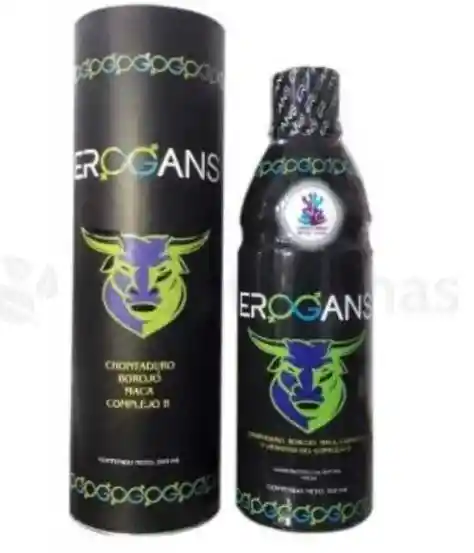 Erogans Bebida 500 ml 