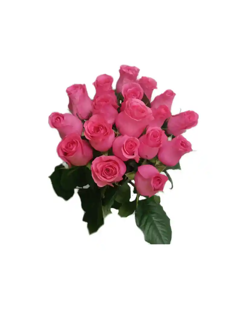 Rosas Rosadas para regalo 