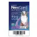 Nexgard Spectra Antipulgas Para Perros De 15.1 A 30 Kg Morado