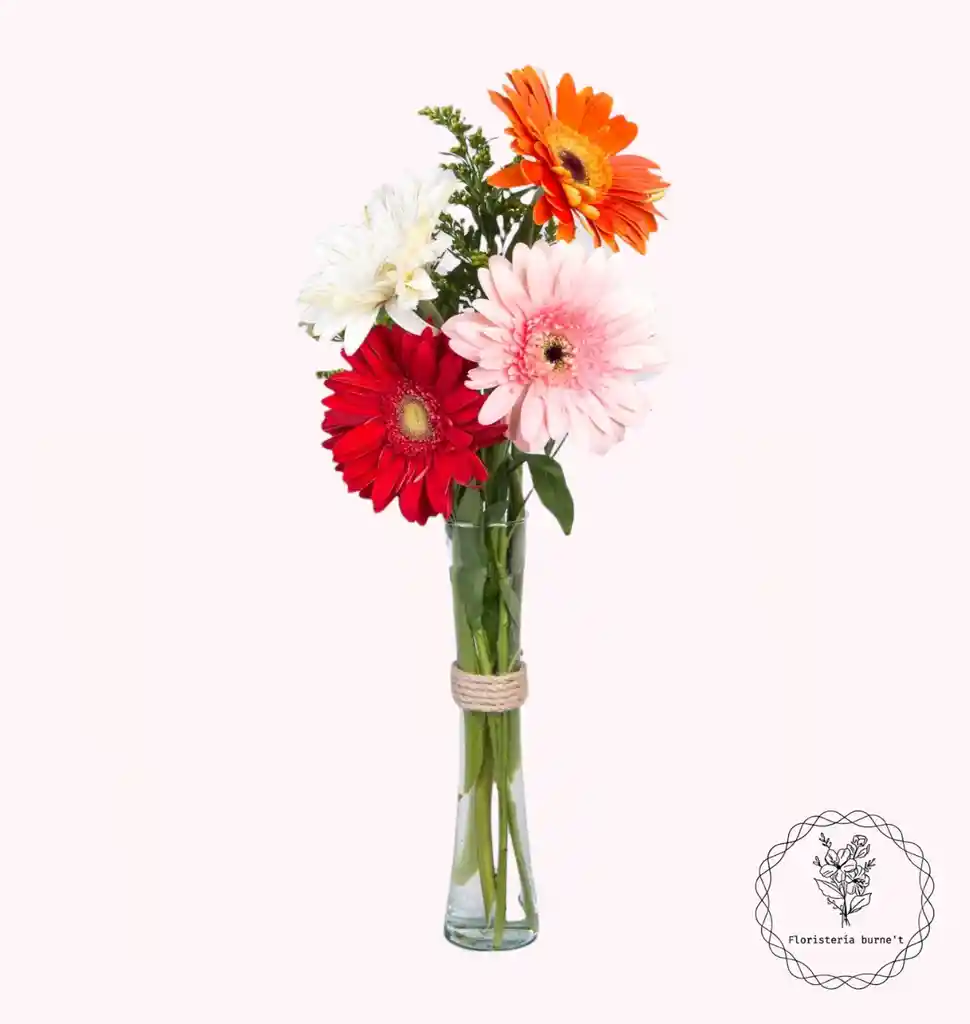  herberas en arreglo floral