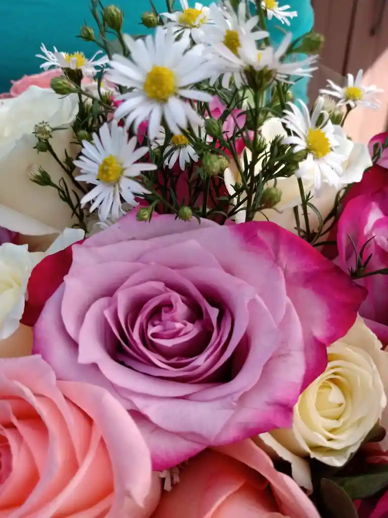 Bouquet de 12 Rosas Morado