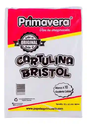 Cartulina Bristol Blanca Octavos  Paquete X 10 Unds 