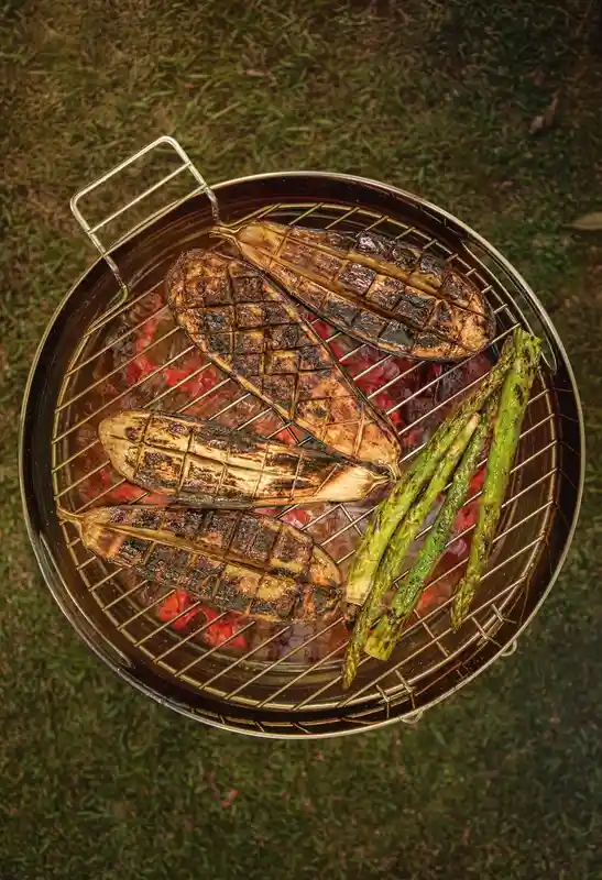 "Grill a Carbón Acero Inoxidable 40,8*74,9 Cm  Churrasco"