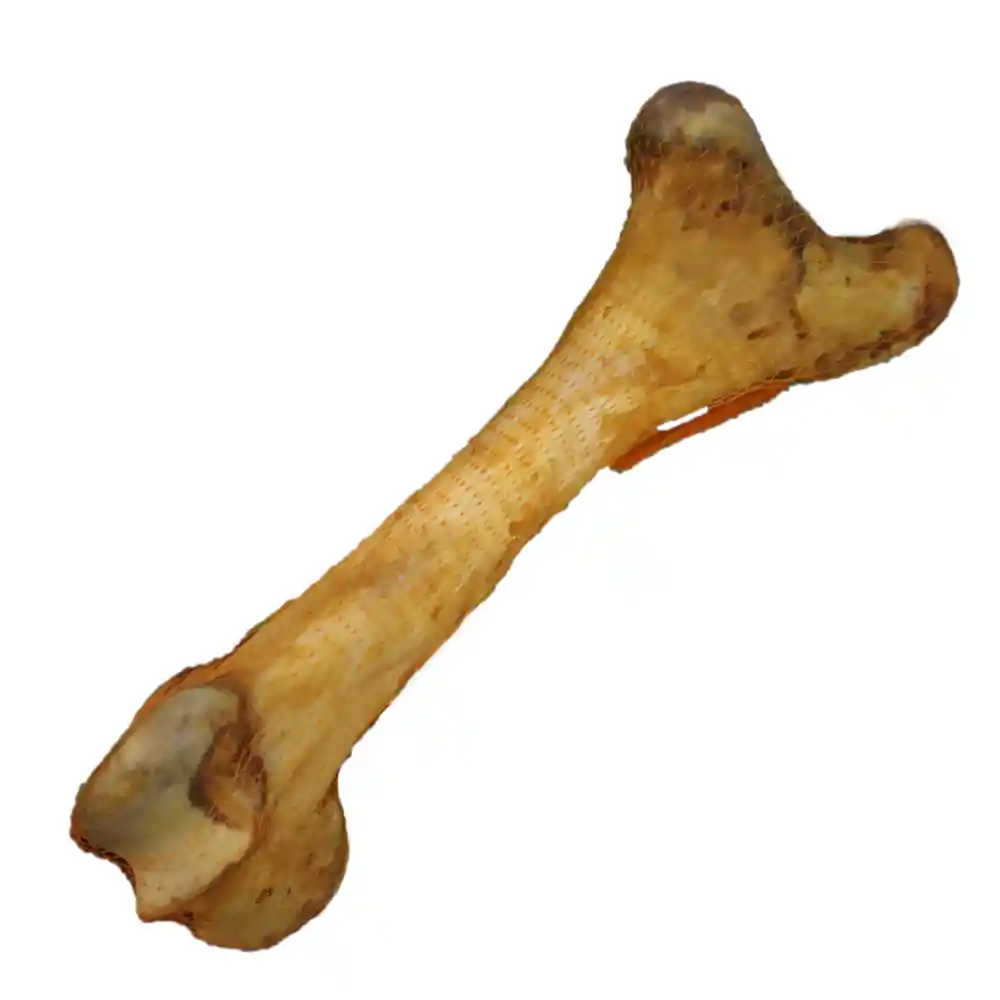 Femur De Res Natural Dog Biscuits