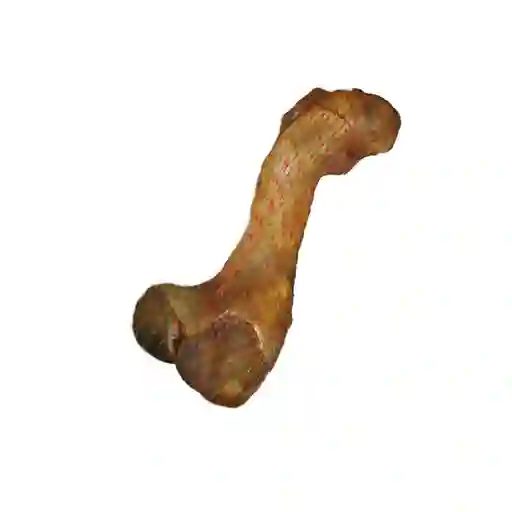 Femur De Cerdo Natural Dog Biscuits