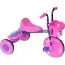  Triciclo para niños Niñas Montable Correpasillos Juguete 