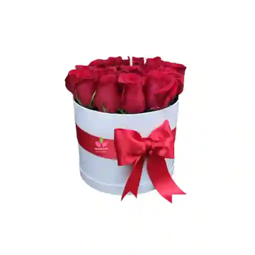 Flores Rojas: Cilindro De Rosas - Floristeria En Cali