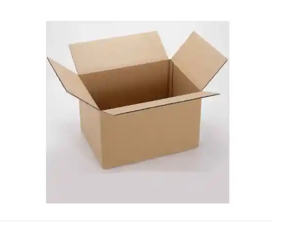 Caja De Carton Mudanza Empaque Embalaje 19.5x15.5x21