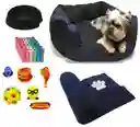 Cama Para Mascota Azul o+ Cobija + 100 Bolsas+ 2 Juguetes + comedero