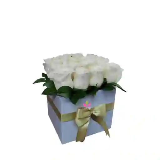 Flores Blancas : Cubo De Rosas, Floristeria Cali