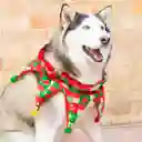 ARLEQUÍN NAVIDEÑO M1 Tamaño: N° 4