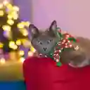 ARLEQUÍN NAVIDEÑO M2 Tamaño: N° 2