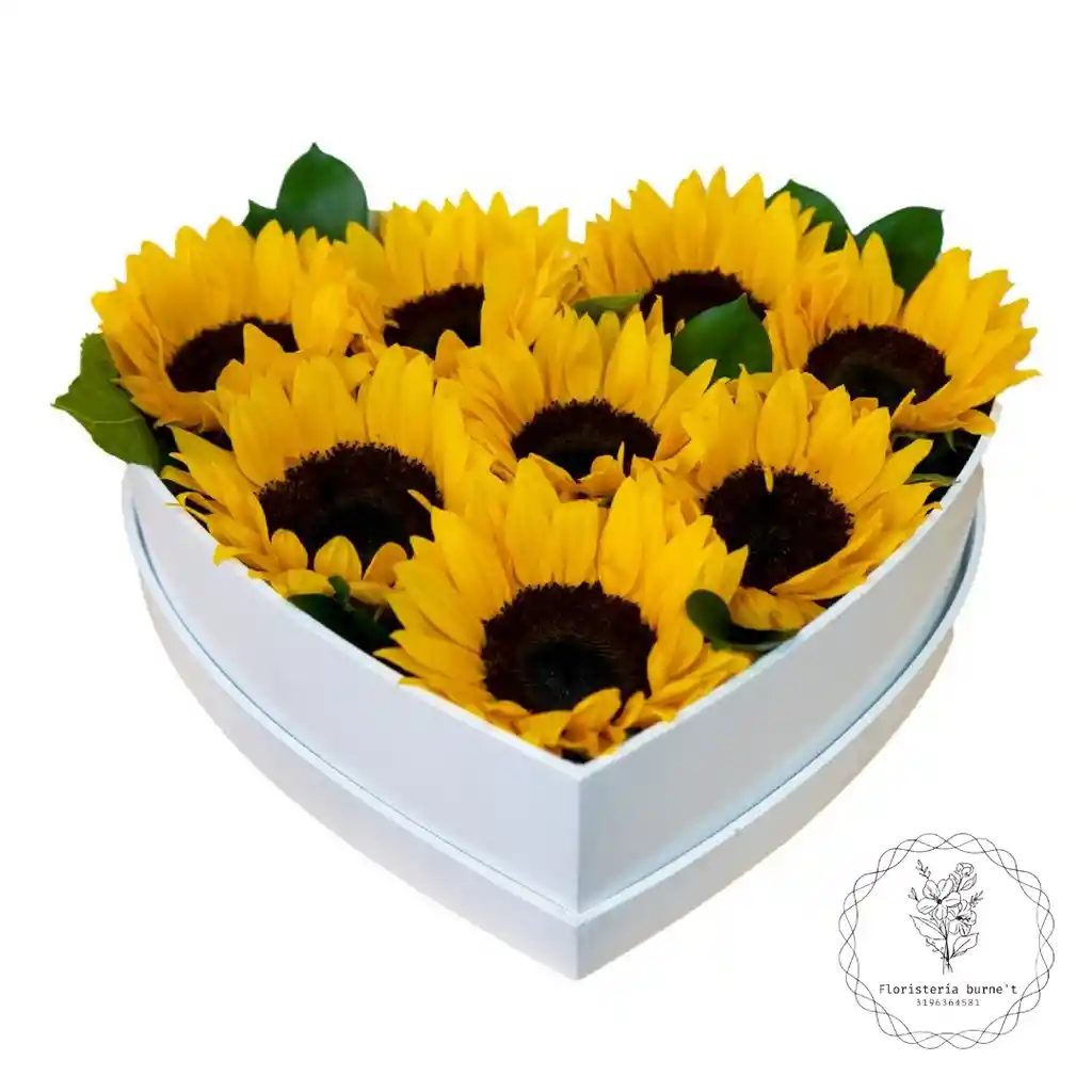 girasoles en caja de corazon 