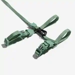 Zeedog Army Green Leash + Harness Set