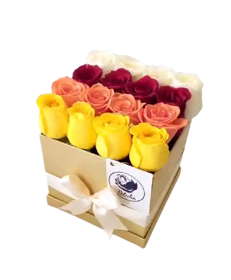 Caja deluxe dorada 16 rosas amarillas, salmón, rojo y blanco