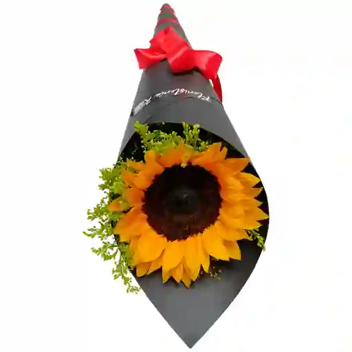 Solitario Solare