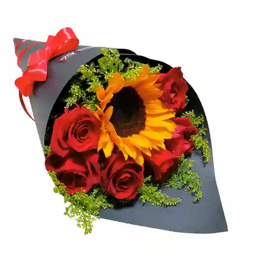 Solitario Solare Rosas