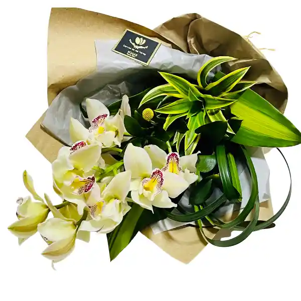 Orquidea Bouquet S Cymbidium