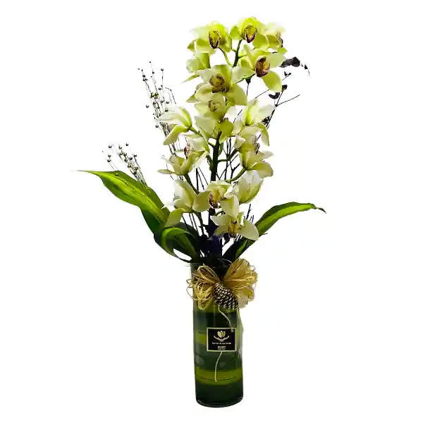 Orquidea Florero S Cymbidium