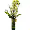 Orquidea Florero S Cymbidium