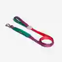 Zeedog Cali Dos Air-Leash