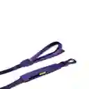 Zeedog Violet Air-Leash