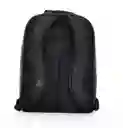 Morral Evan